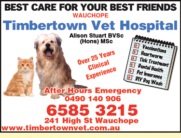 Timbertown Vet Hospital - Vets Newcastle 3