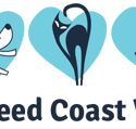 Tweed Coast Vet - Vets Newcastle