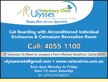 Ulysses Veterinary Clinic Cairns - Vets Newcastle 5