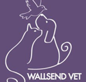 Wallsend Vet Newcastle - Vets Newcastle