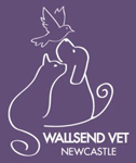 Wallsend Vet Newcastle - Vets Newcastle 0