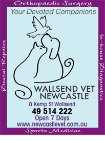 Wallsend Vet Newcastle - Vets Newcastle 1