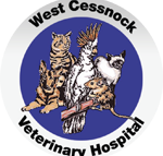 West Cessnock Veterinary Hospital - Vets Newcastle