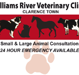 Williams River Veterinary Clinic - Vets Newcastle