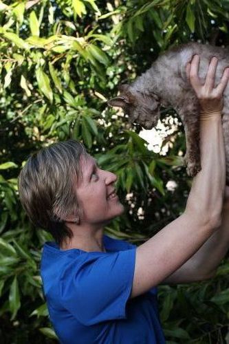 Yandina Vet Clinic - Vets Newcastle 1