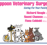 Yeppoon Veterinary Surgery - Vets Newcastle