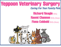Yeppoon Veterinary Surgery - Vets Newcastle 0
