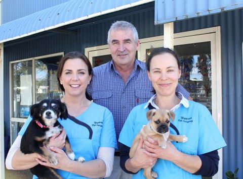 Yeppoon Veterinary Surgery - Vets Newcastle 2