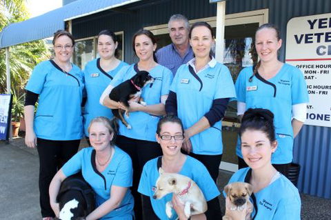 Yeppoon Veterinary Surgery - Vets Newcastle 4