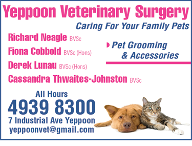 Yeppoon Veterinary Surgery - Vets Newcastle 6