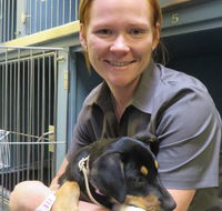Grafton Veterinary Clinic - Vets Newcastle