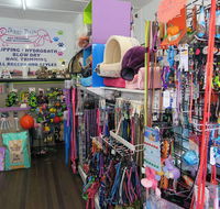 Doggy Days - Vets Newcastle