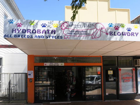 Doggy Days - Vets Newcastle 3