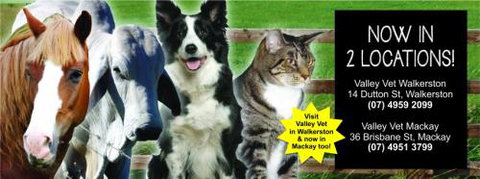 ONeil Cameron Dr Valley Vet Surgery - Vets Newcastle 3