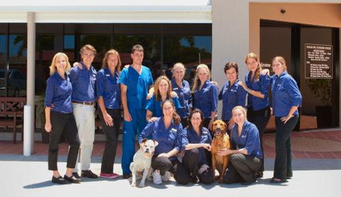 Dr Lucy Coldwell - Vets Newcastle 0