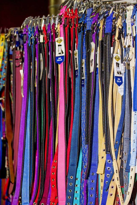 Whitsunday Better Pets - Vets Newcastle 2