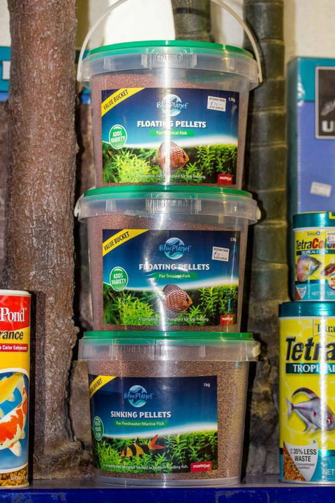 Whitsunday Better Pets - Vets Newcastle 3