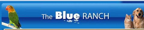 The Blue Ranch - Vets Newcastle 4