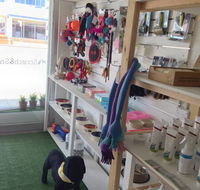 Scratch  Sniff - Vets Newcastle