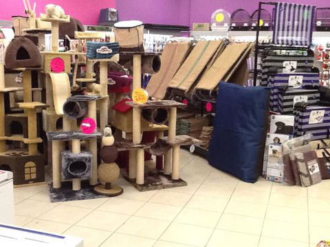 Pet Cafe Smithfield - Vets Newcastle 0