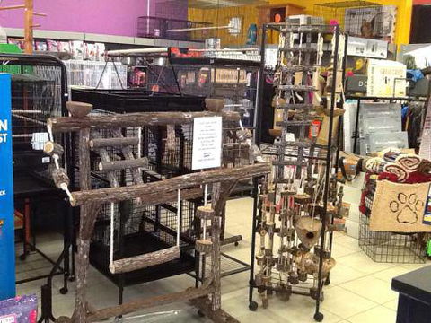 Pet Cafe Smithfield - Vets Newcastle 4