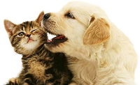 One Stop Pet Supplies